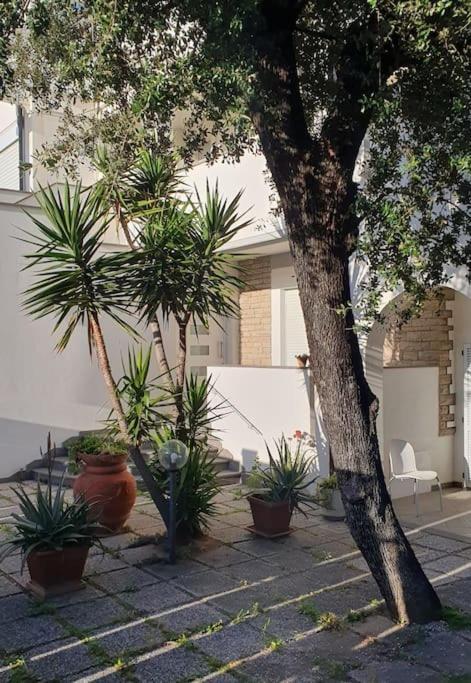 Lecci Al Mare Apartamento San Vincenzo Exterior foto